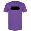 Unisex Softstyle® CVC T-Shirt Thumbnail